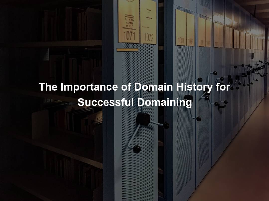 The Importance of Domain History for Successful Domaining – Domain Nexus
