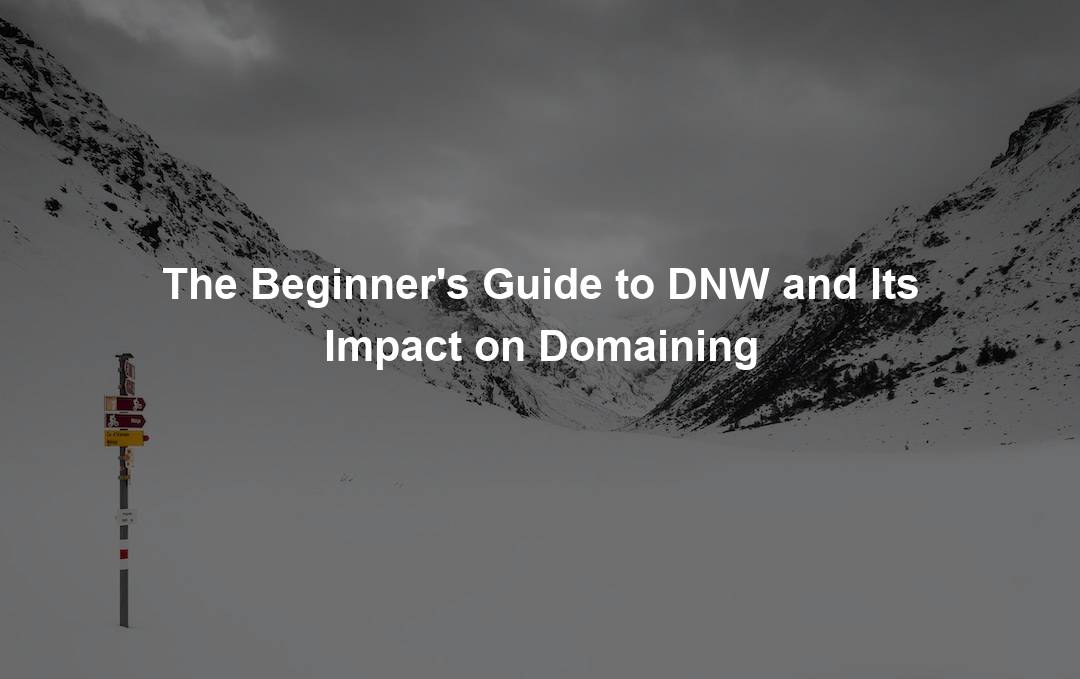 The Beginner’s Guide to DNW and Its Impact on Domaining – Domain Nexus