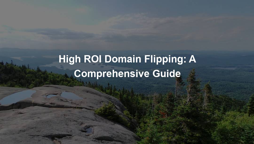 High ROI Domain Flipping: A Comprehensive Guide – Domain Nexus
